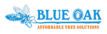 Blue Oak Logo