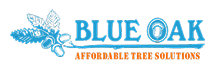 Blue Oak Logo