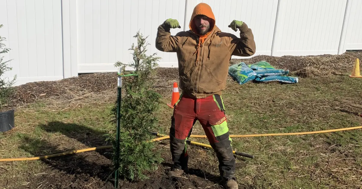 Tree Planting in Western North Carolina